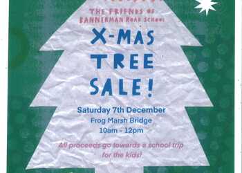 7th December - Christmas Tree Sale